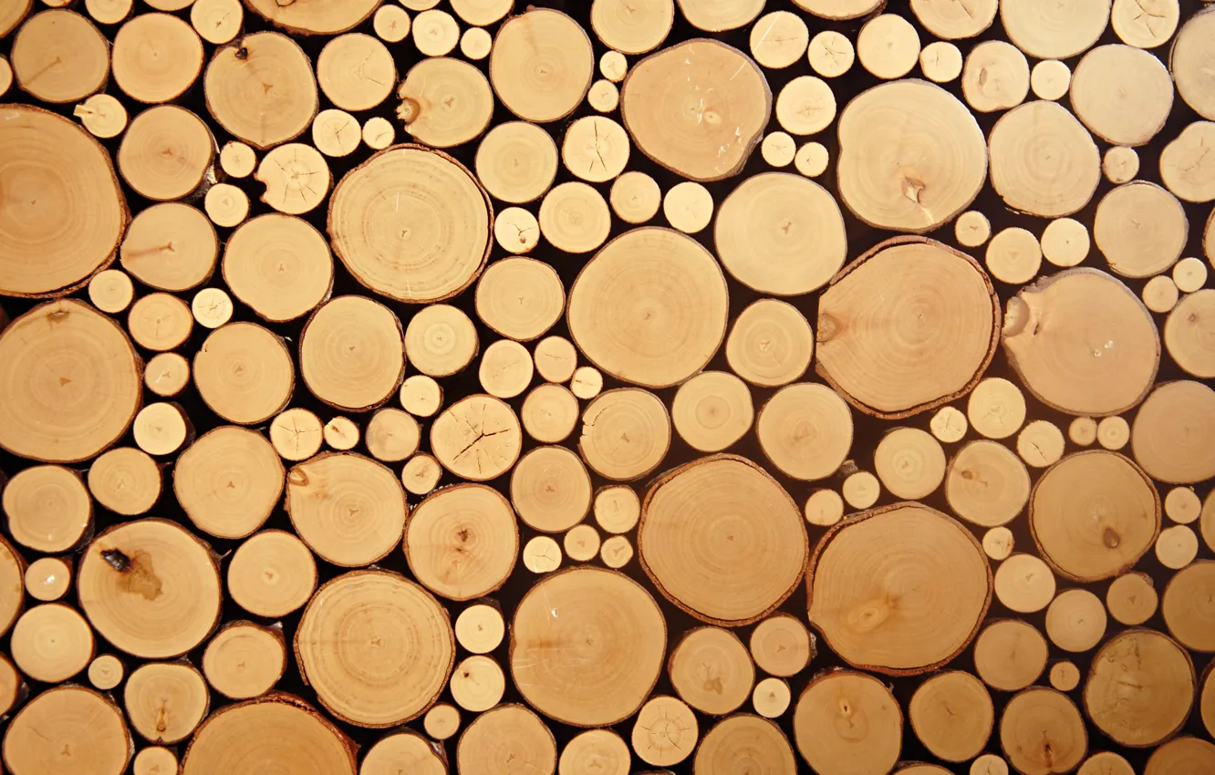 Фото обои wood, circles, cut logs