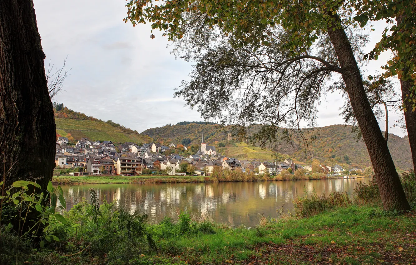 Фото обои деревья, город, река, холмы, берег, поля, дома, Германия