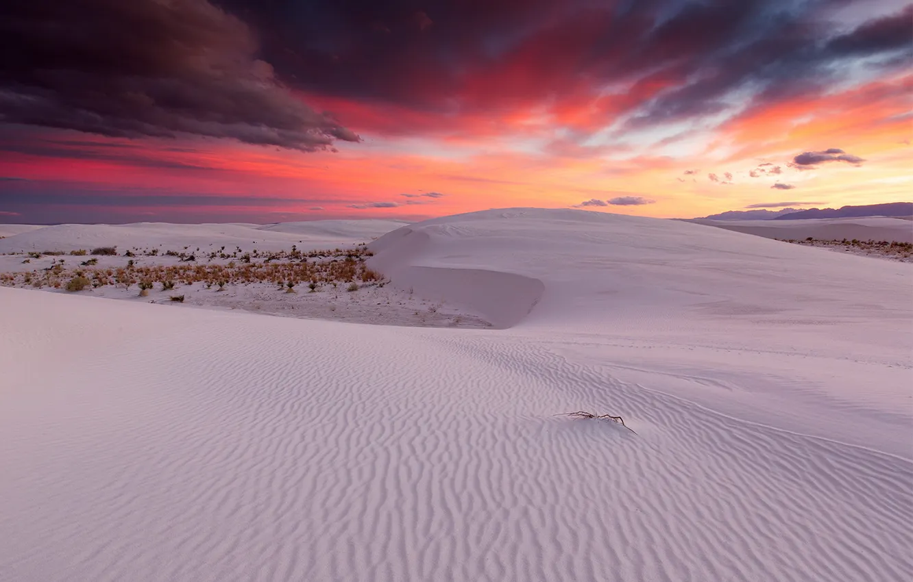 Фото обои New Mexico, White Sands National Monument, colorful sunset