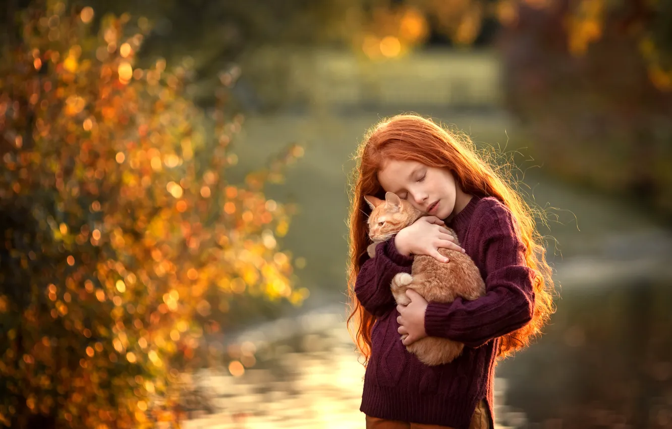 Фото обои котенок, волосы, девочка, рыжие