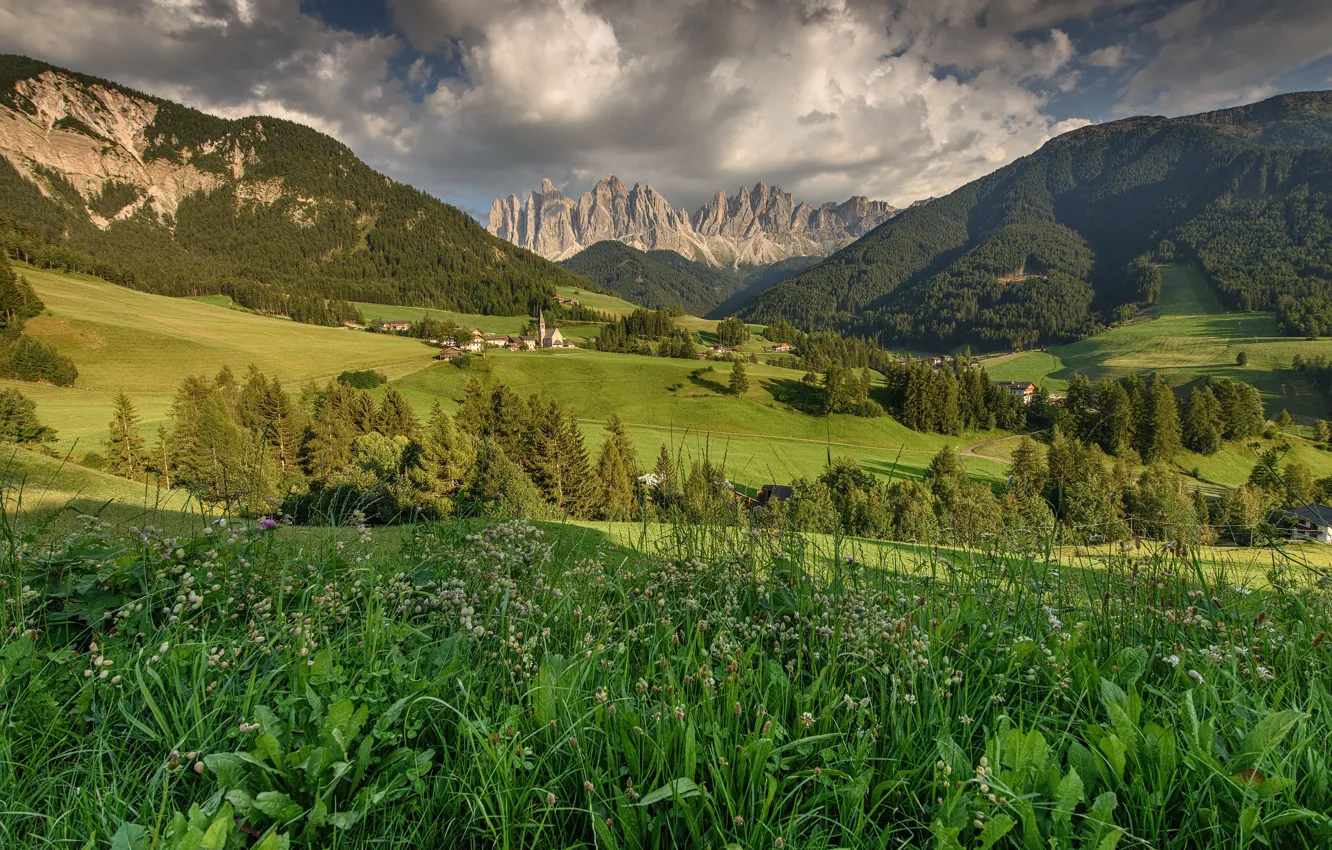Фото обои трава, деревья, горы, поля, долина, Италия, домики, Italy