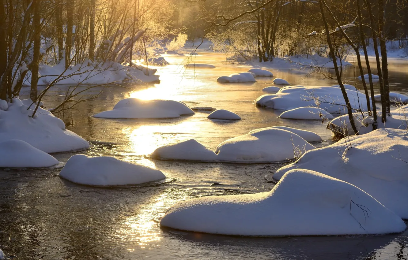 Фото обои зима, снег, деревья, природа, река, Hannu Koskela