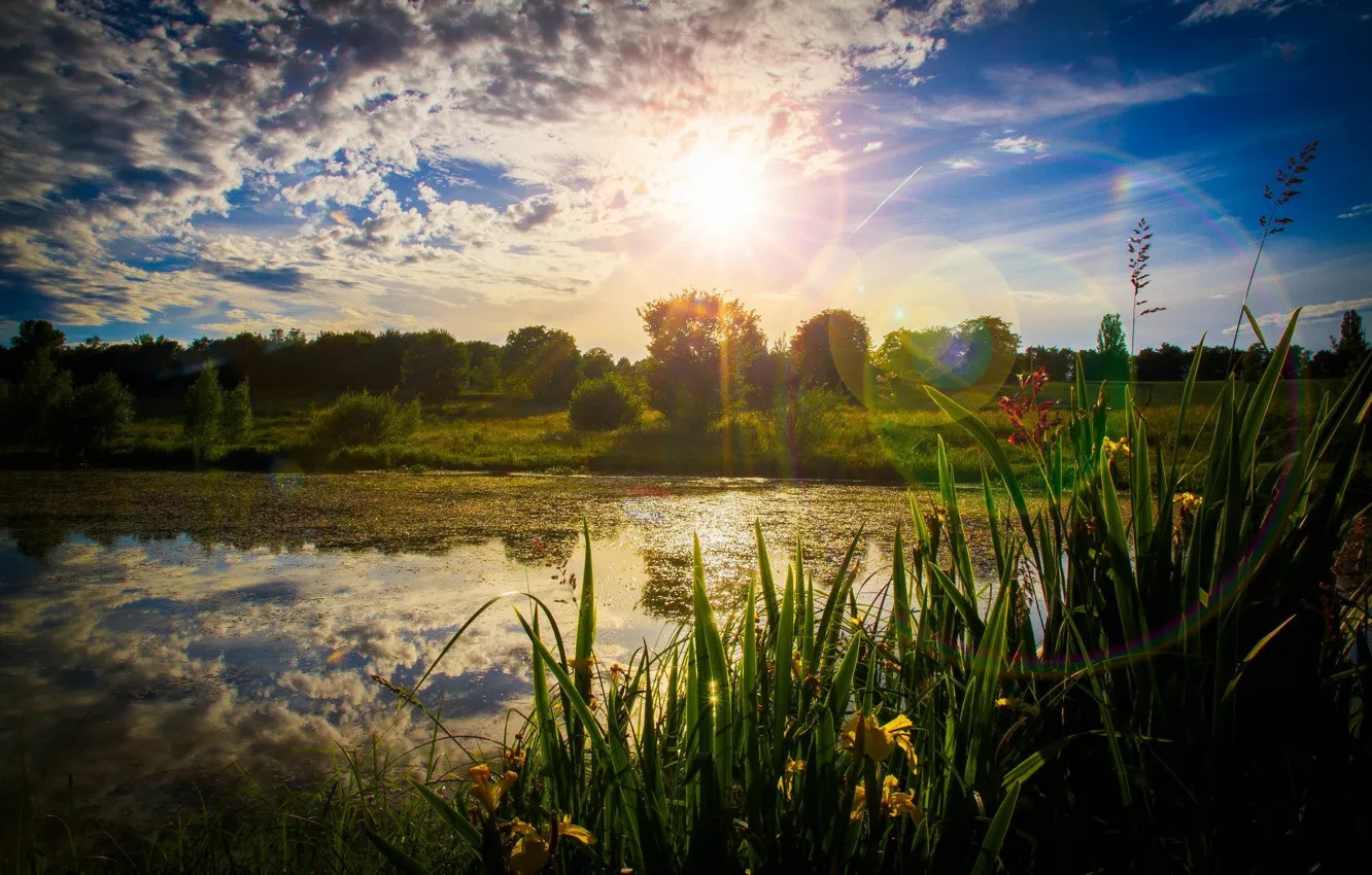 Фото обои Germany, sunset, Mayyas Sakaji
