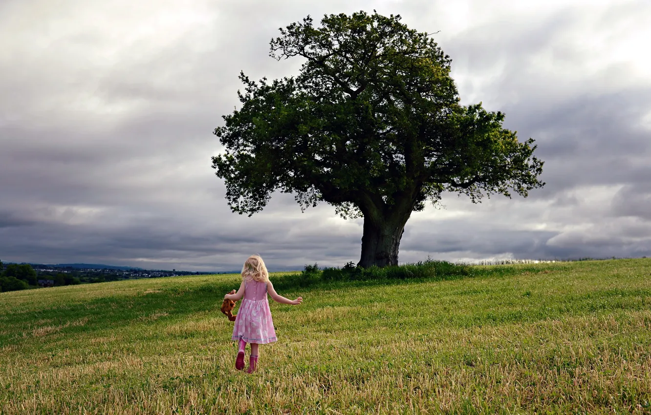Фото обои поле, дерево, настроение, девочка