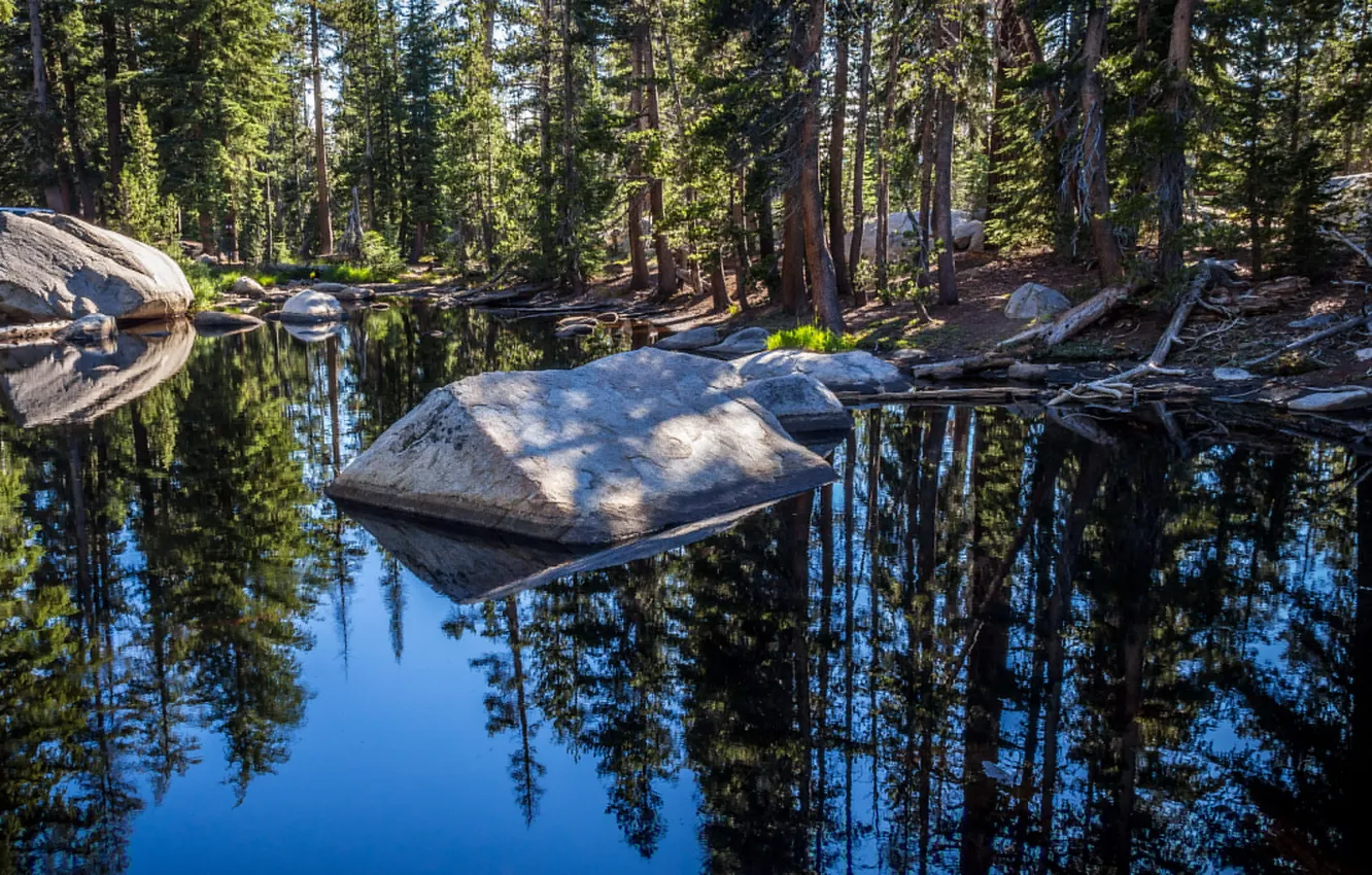 Фото обои лес, вода, солнце, деревья, отражение, камни, Калифорния, США