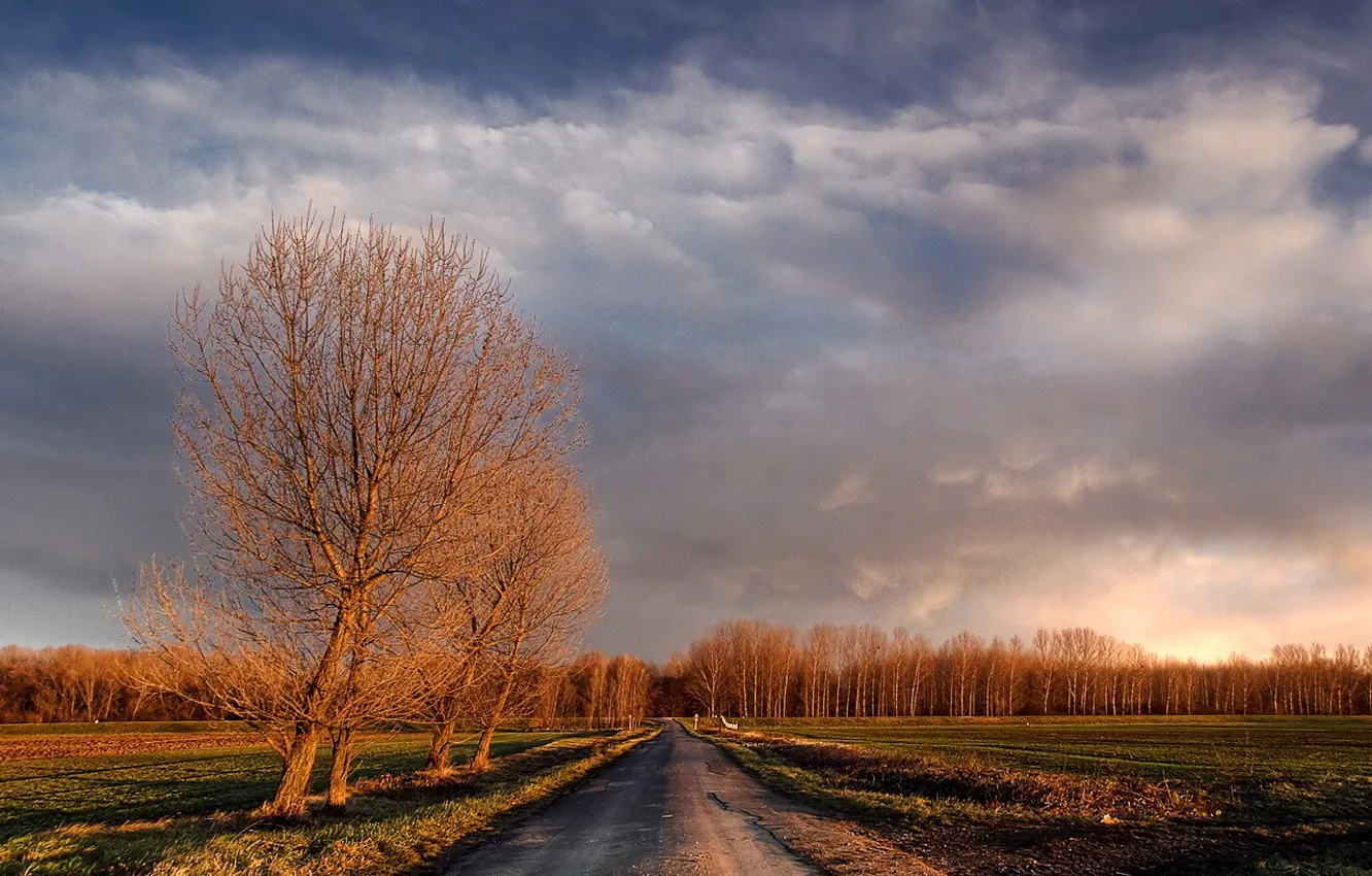Фото обои дорога, облака, деревья