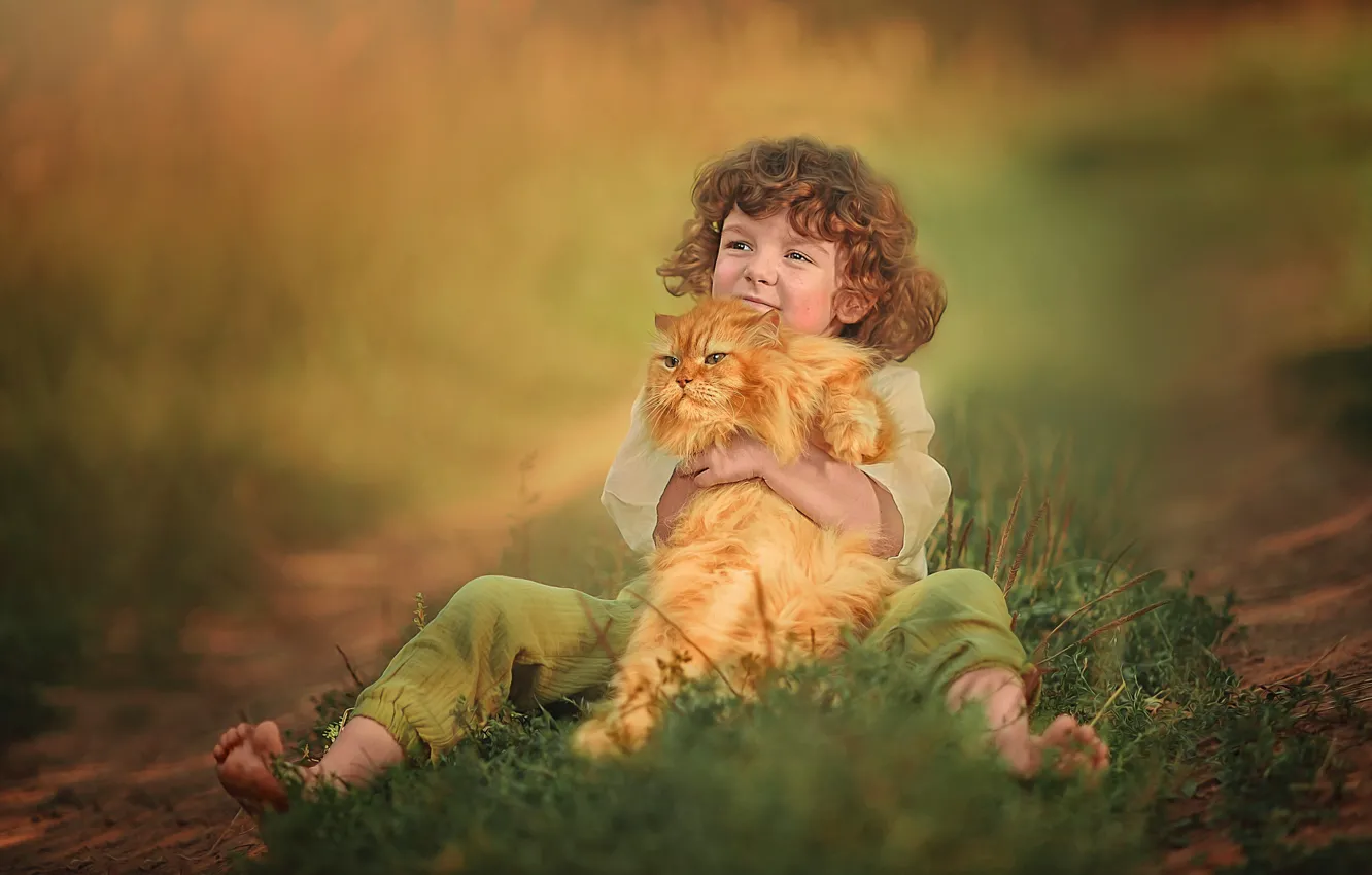 Фото обои кот, мальчик, рыжий, друзья, кудри, Ксения Лысенкова