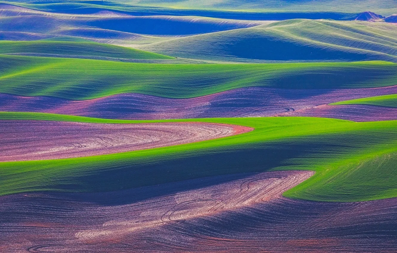 Фото обои поле, трава, холмы, США, штат Вашингтон