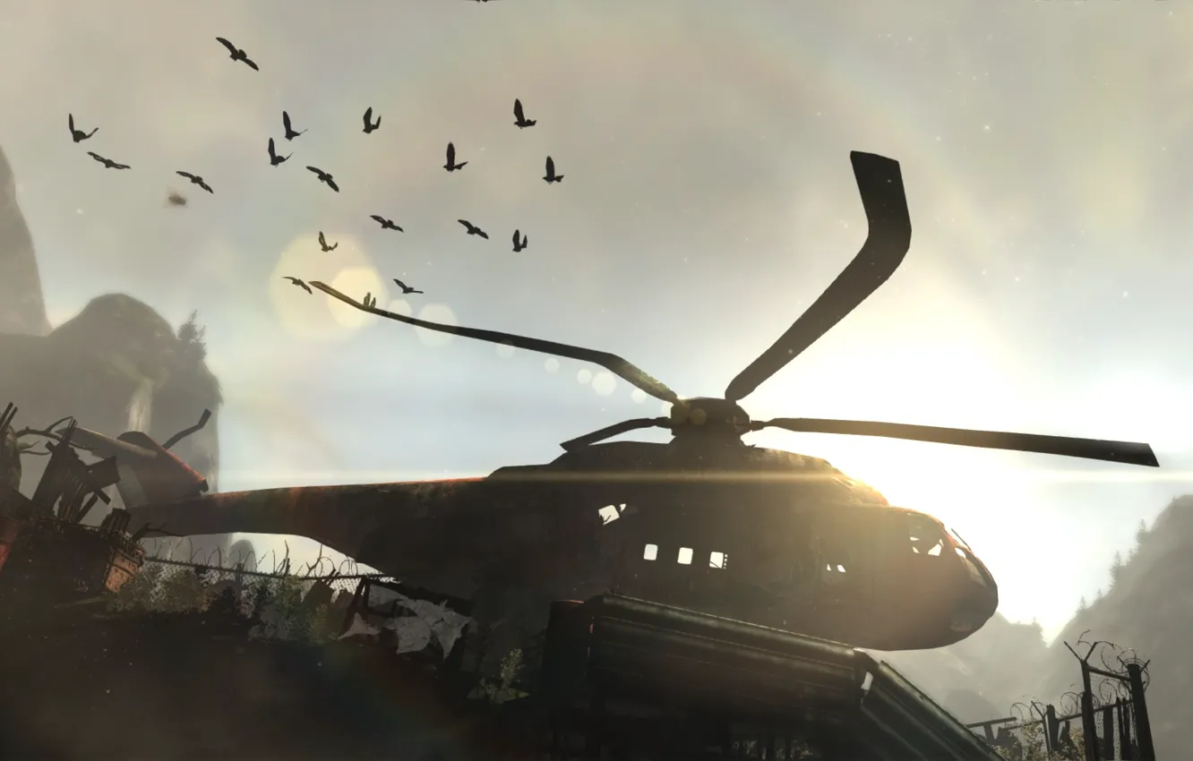 Фото обои птицы, игра, вертолет, Tomb Raider