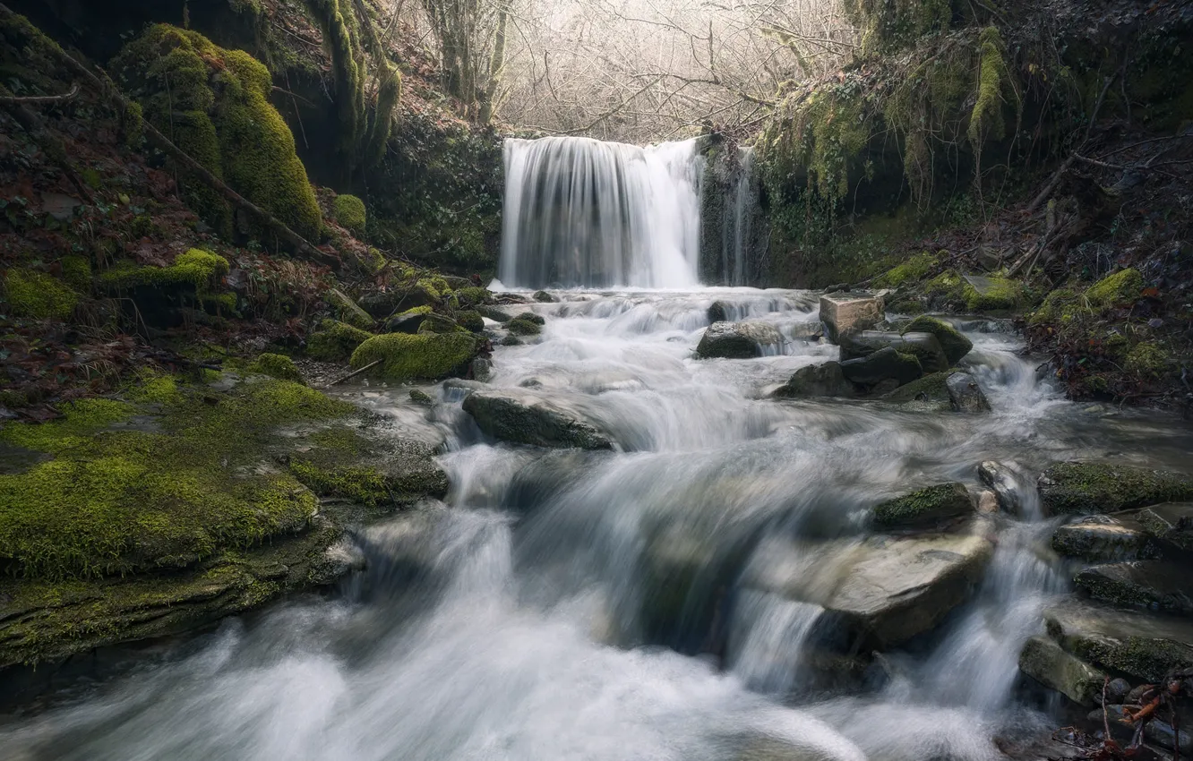 Фото обои скалы, водопад, поток