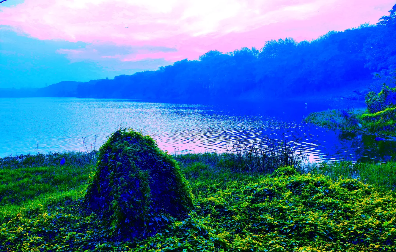 Фото обои Clouds, Sky, Grass, Water, Sunrise, Dawn, Morning, Lake