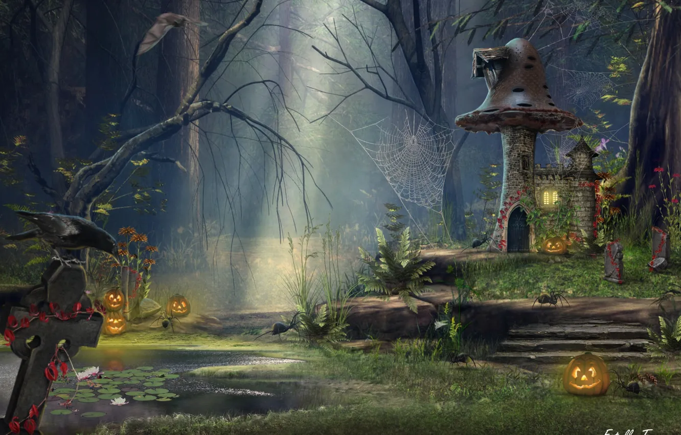 Фото обои лес, грибы, паутина, тыква, домик