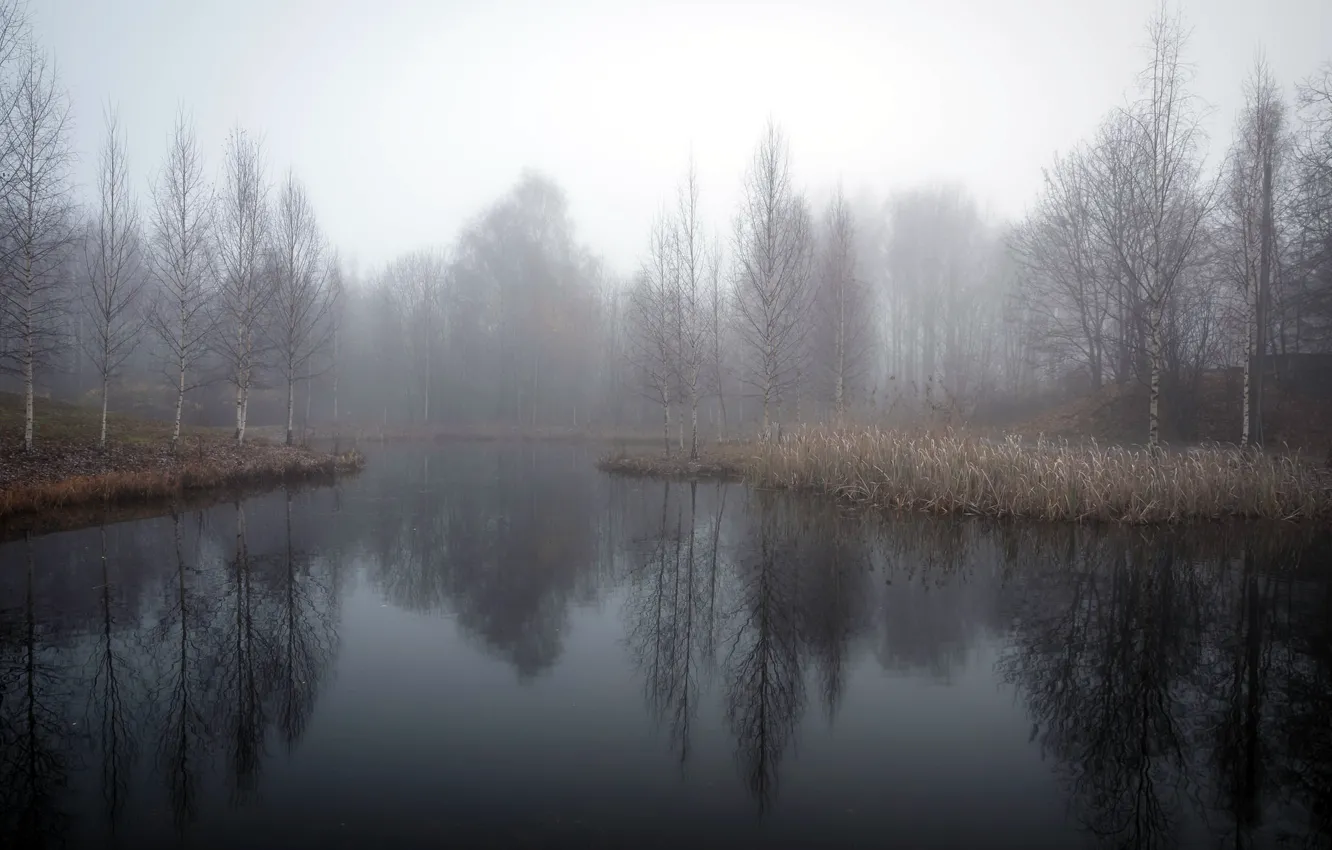 Фото обои осень, туман, озеро