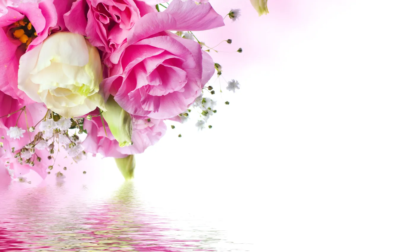 Фото обои розы, white, pink, water, blossom, flowers, beautiful, reflection