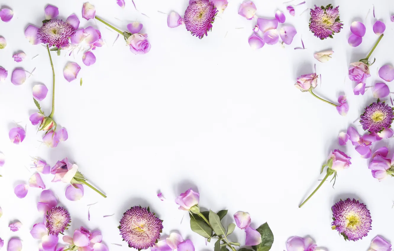 Фото обои цветы, фон, розы, лепестки, розовые, бутоны, pink, flowers