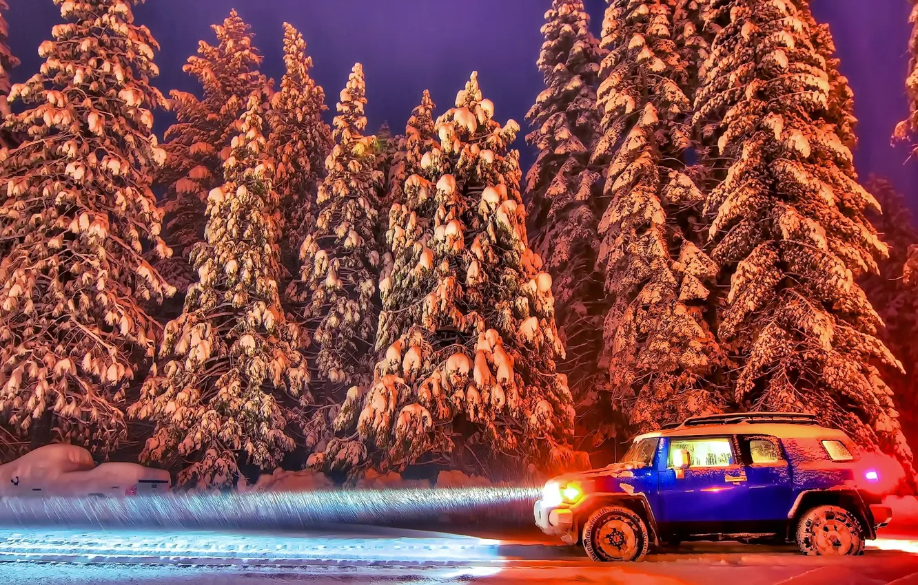 Фото обои зима, авто, лес, небо, снег, деревья, дороги