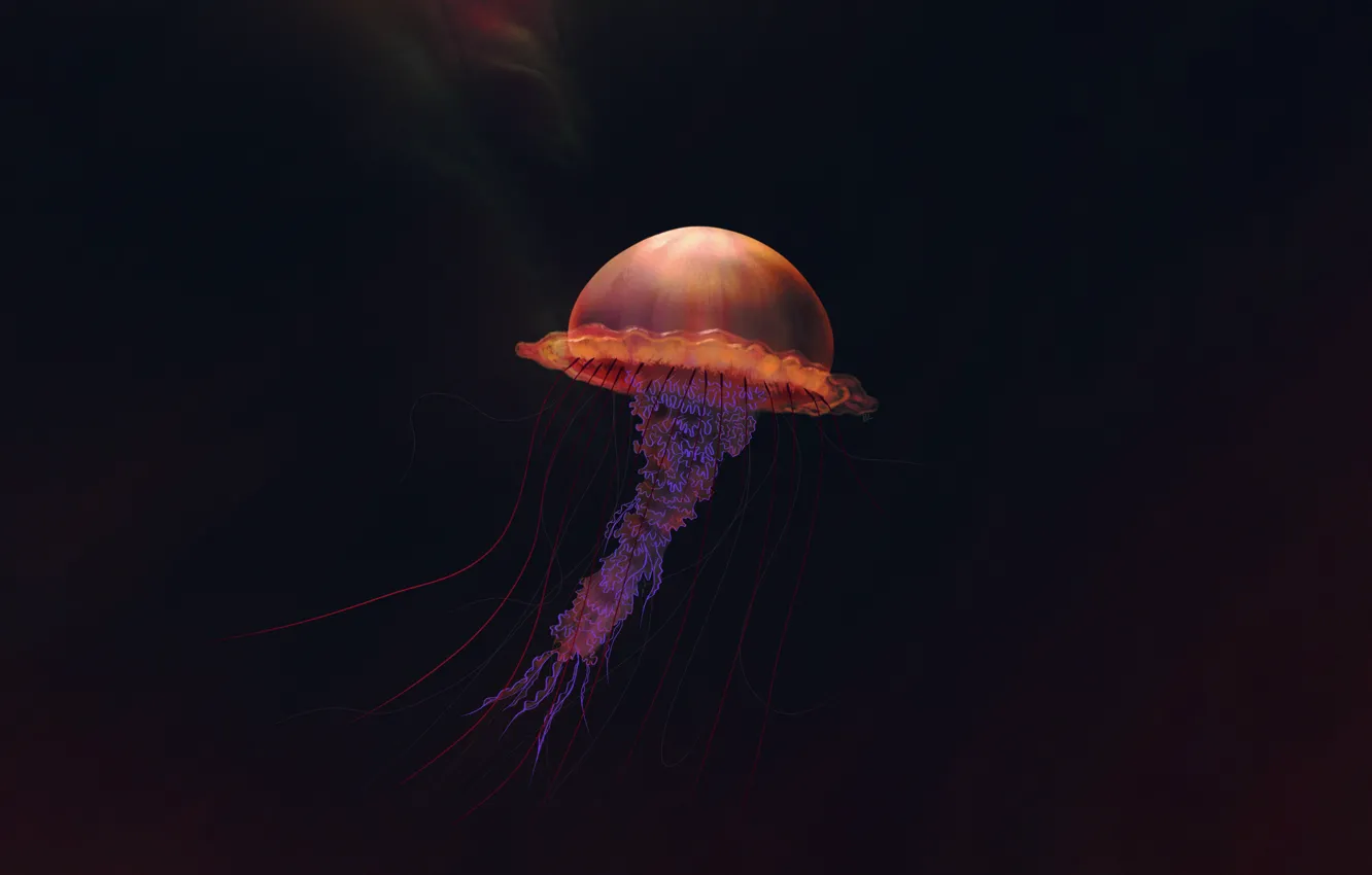 Фото обои Минимализм, Медуза, Зонтик, Арт, Art, Щупальца, Jellyfish, Umbrella