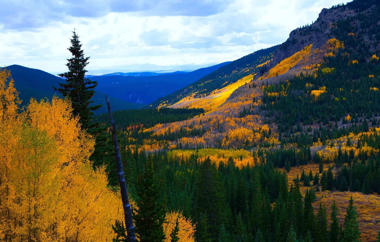 Фото обои осень, лес, небо, деревья, горы, краски осени