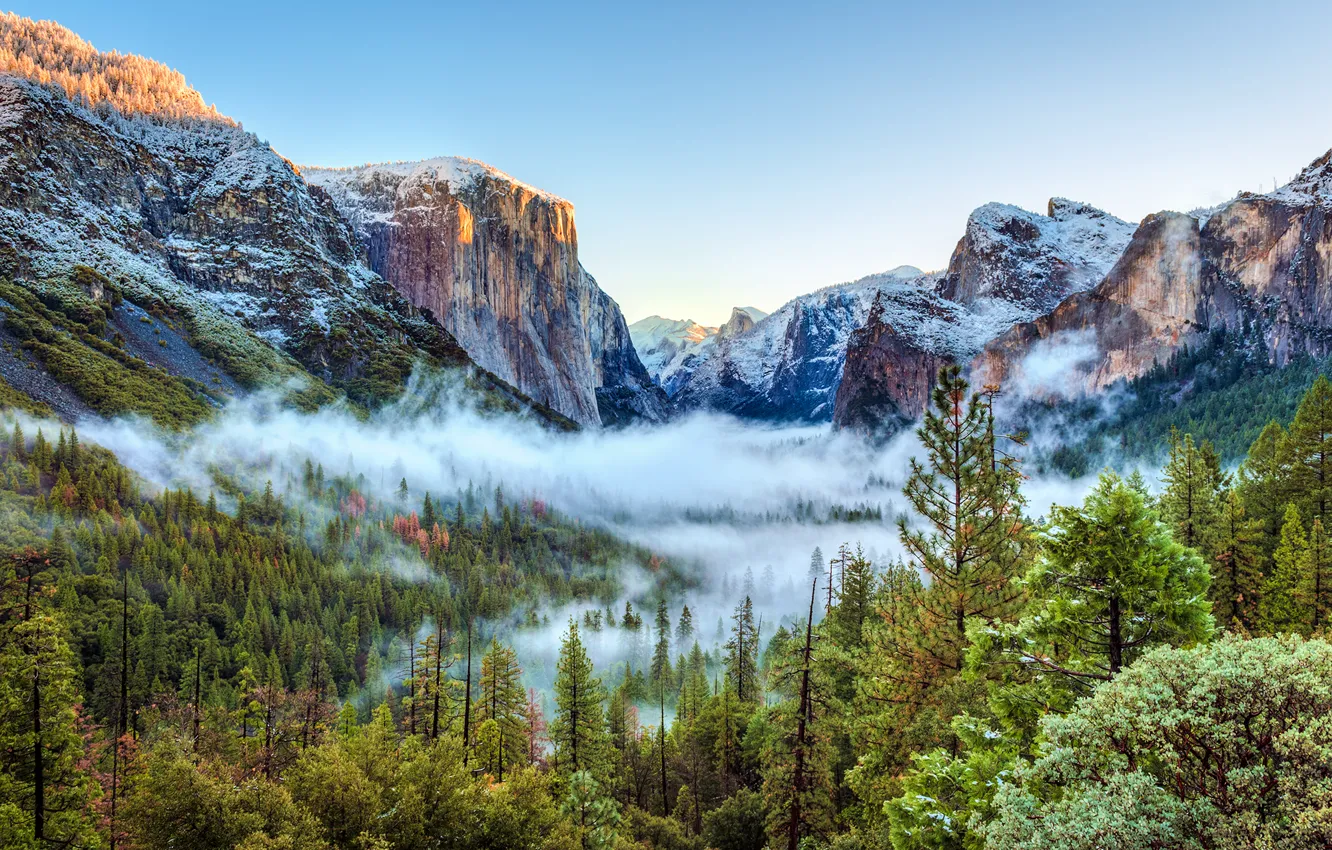 Фото обои лес, снег, деревья, горы, туман, скалы, красота, Калифорния