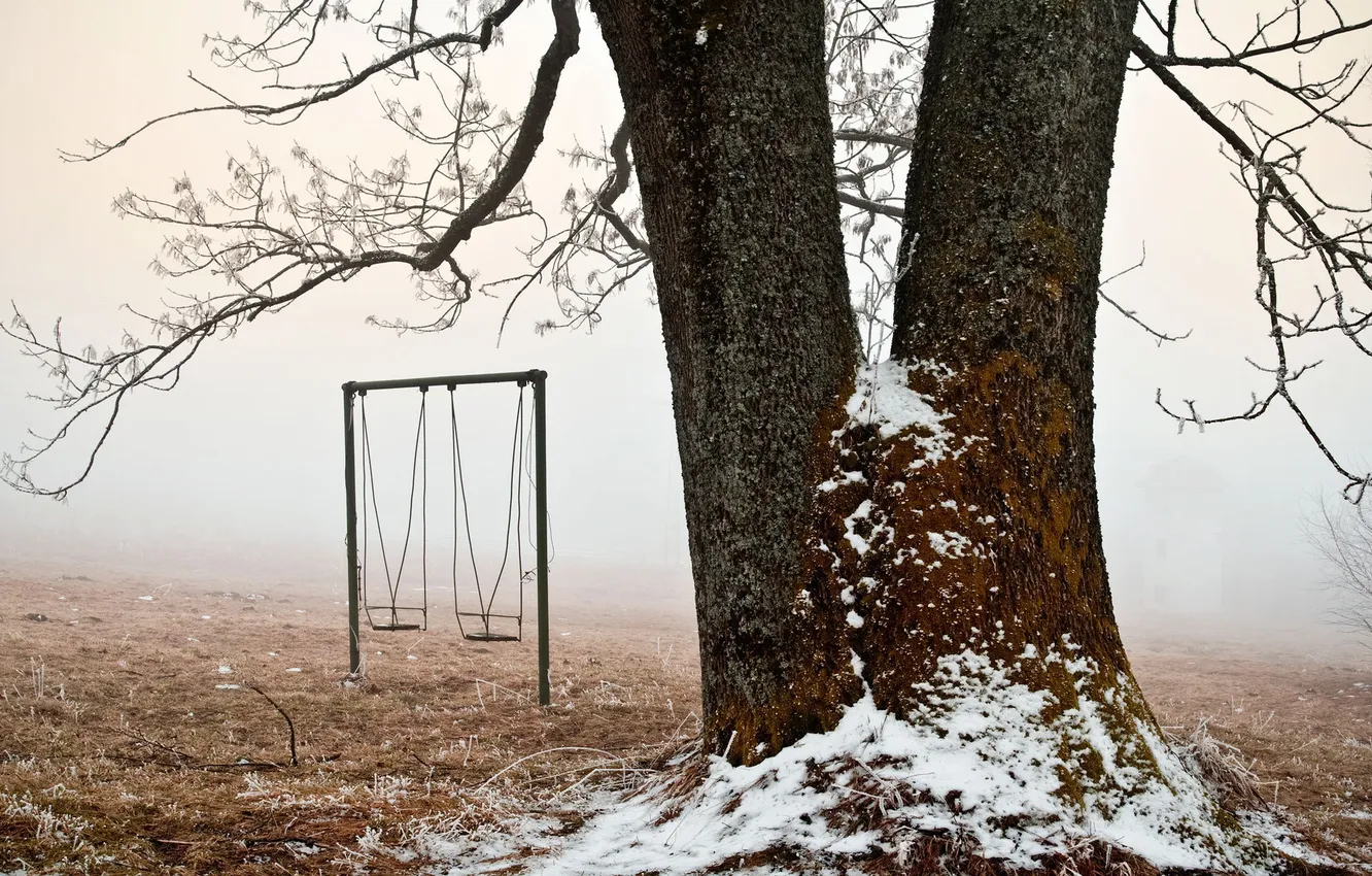 Фото обои иней, снег, качели, дерево, ветви, площадка, начало зимы, туман.
