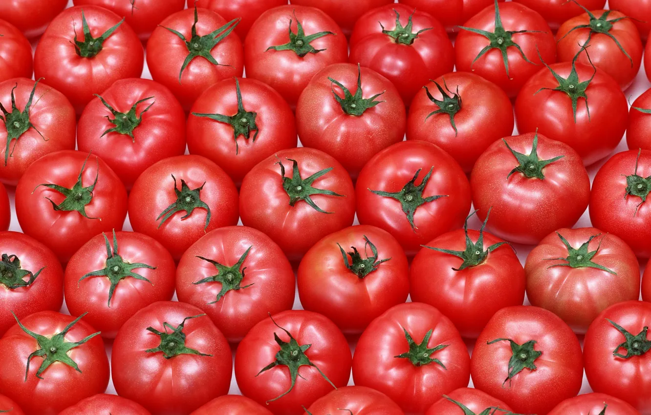 Фото обои фон, текстура, овощи, помидоры, томаты, красные плоды
