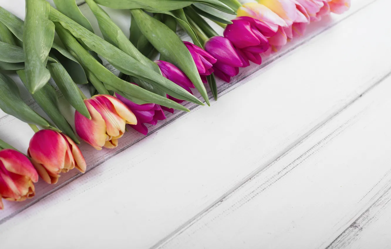 Фото обои цветы, colorful, тюльпаны, розовые, wood, pink, flowers, tulips