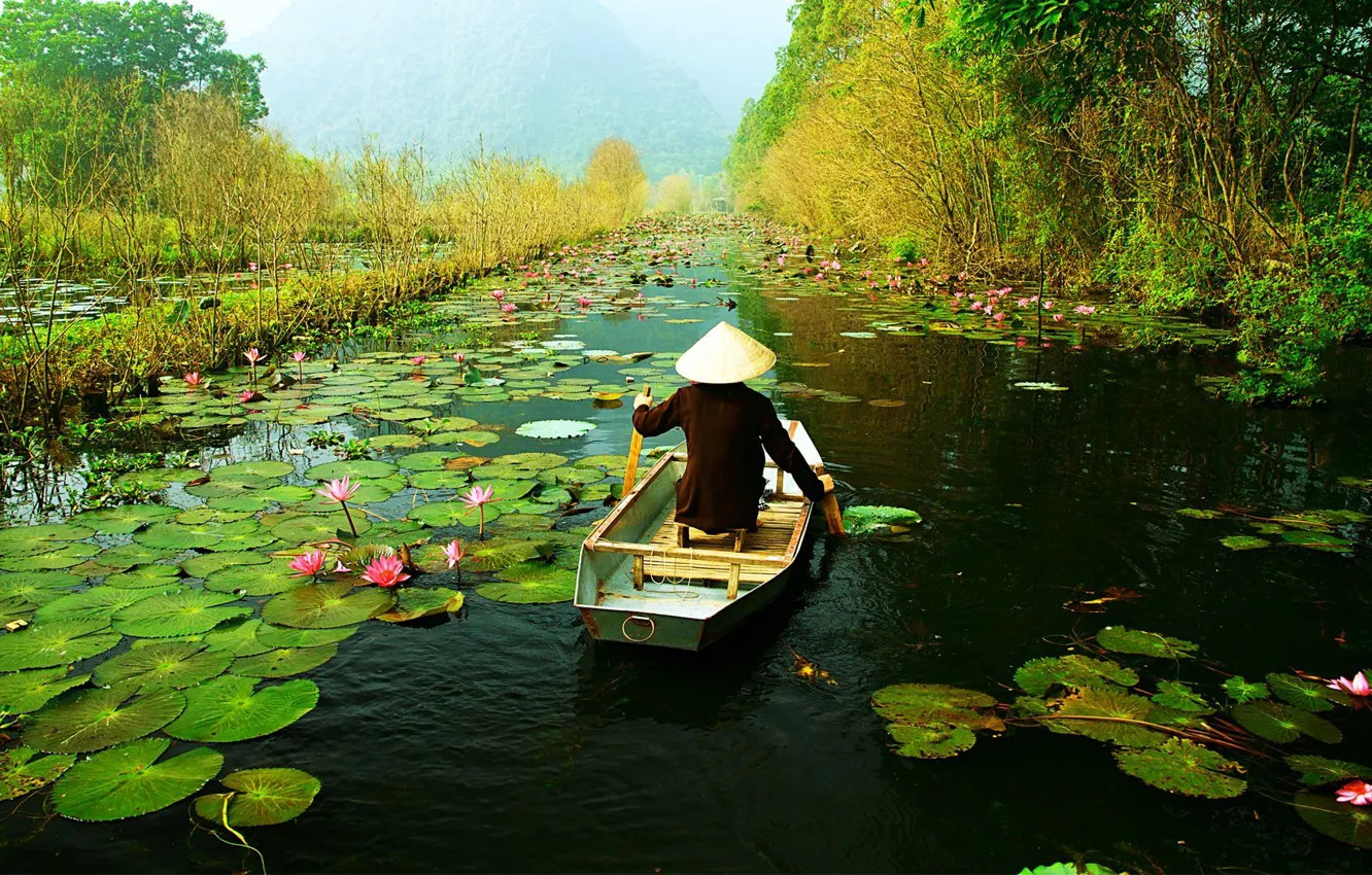 Фото обои листья, цветы, река, лодка, лотос, Vietnam