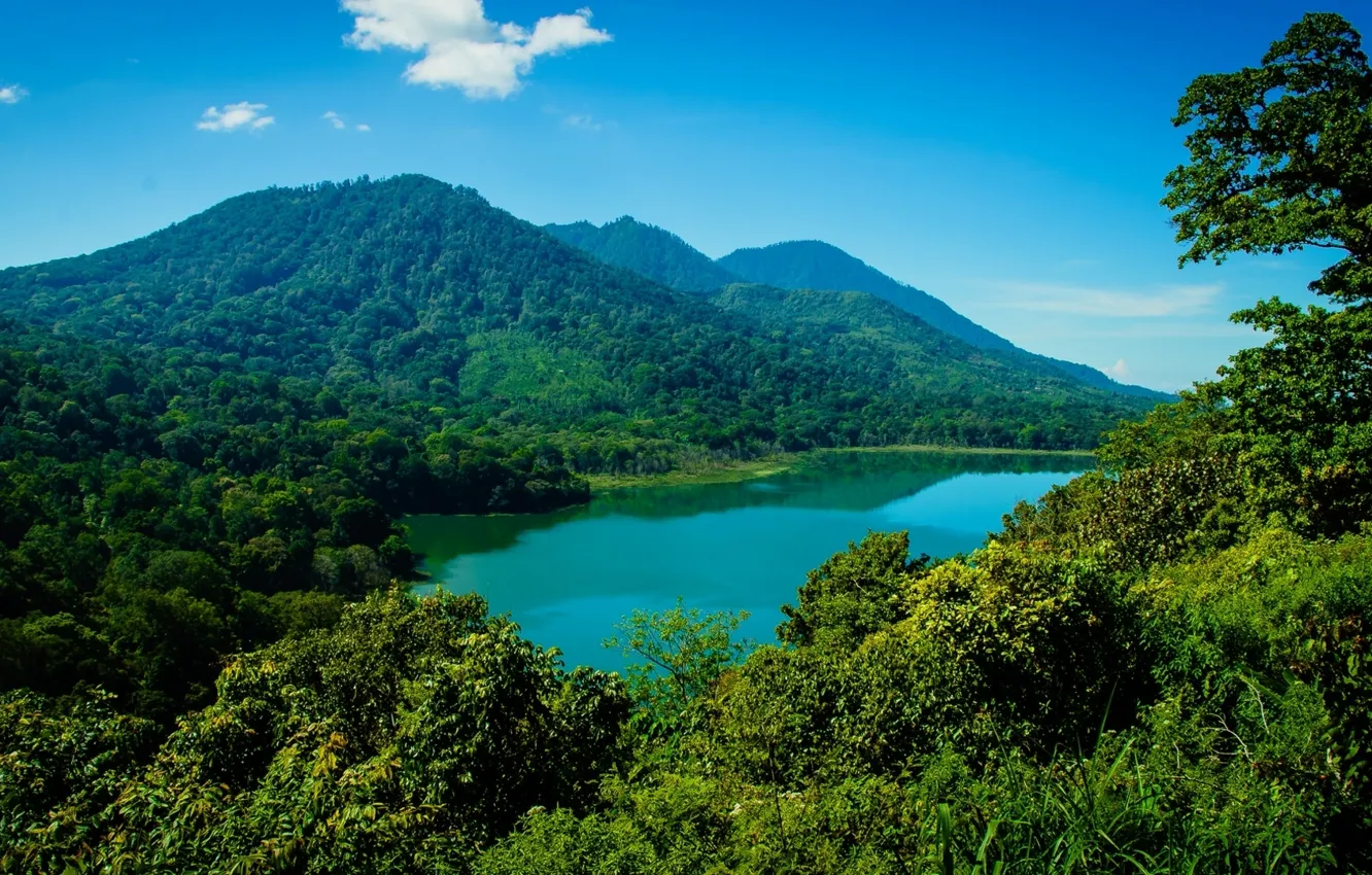 Фото обои лес, горы, озеро, Бали, Индонезия, Bali, Indonesia