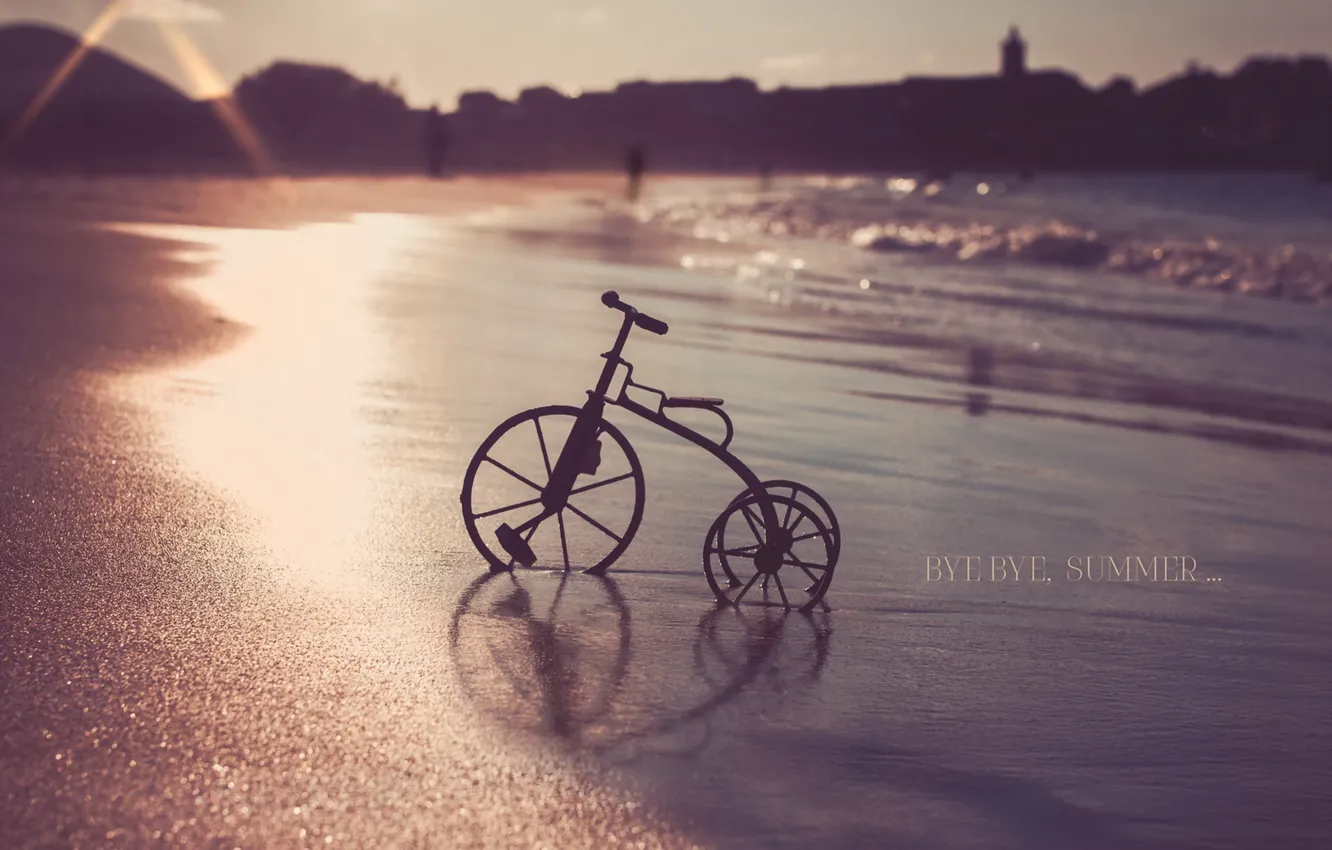 Фото обои море, закат, велосипед