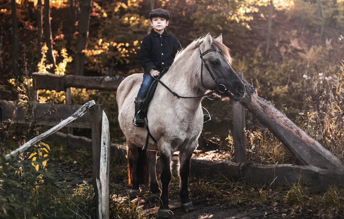 Фото обои природа, конь, мальчик