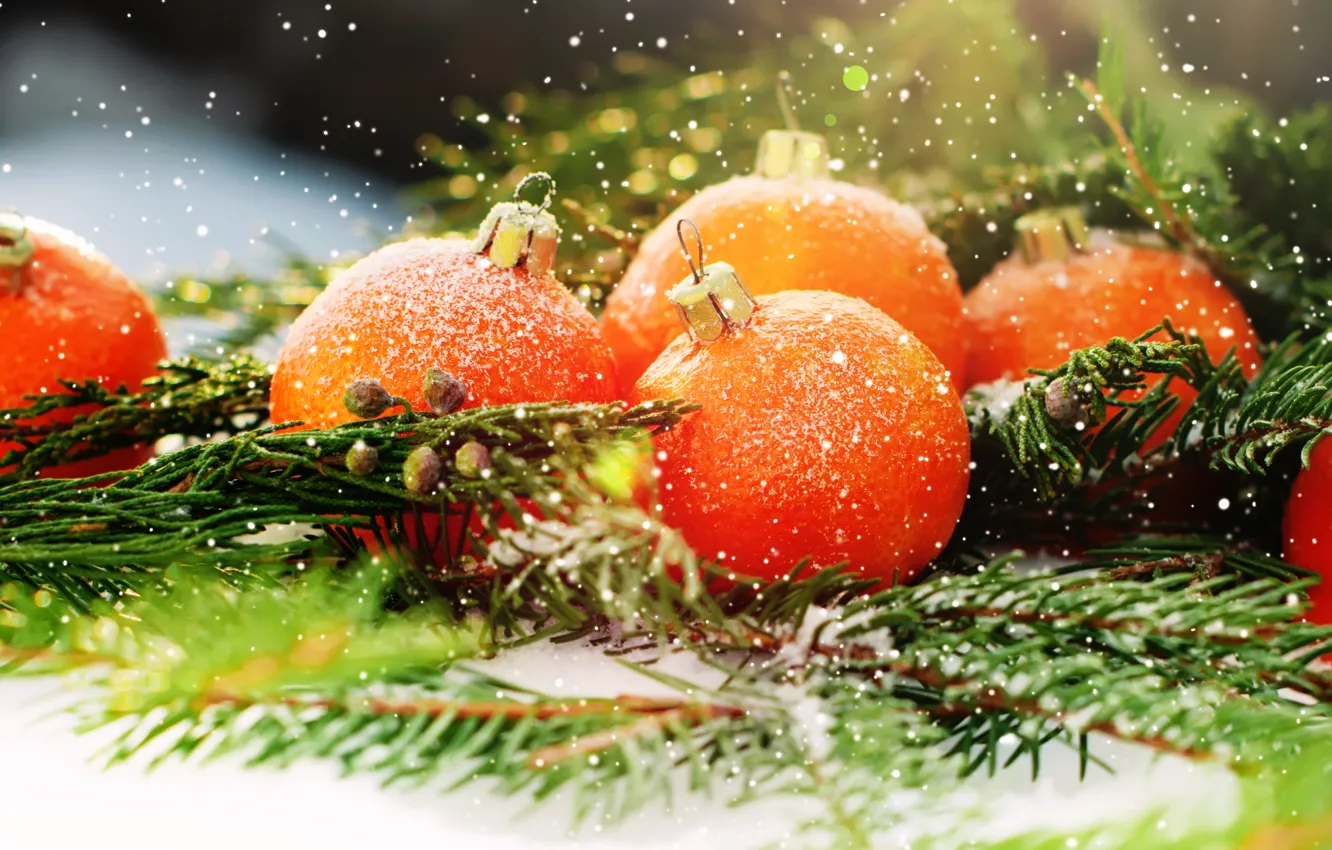 Фото обои снег, украшения, елка, апельсины, Новый Год, Рождество, фрукты, Christmas