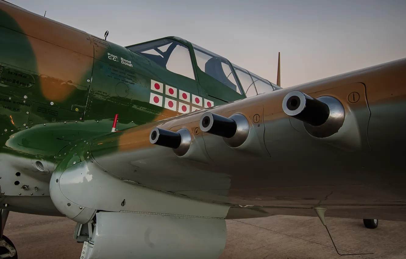 Фото обои оружие, истребитель, P-40, Warhawk