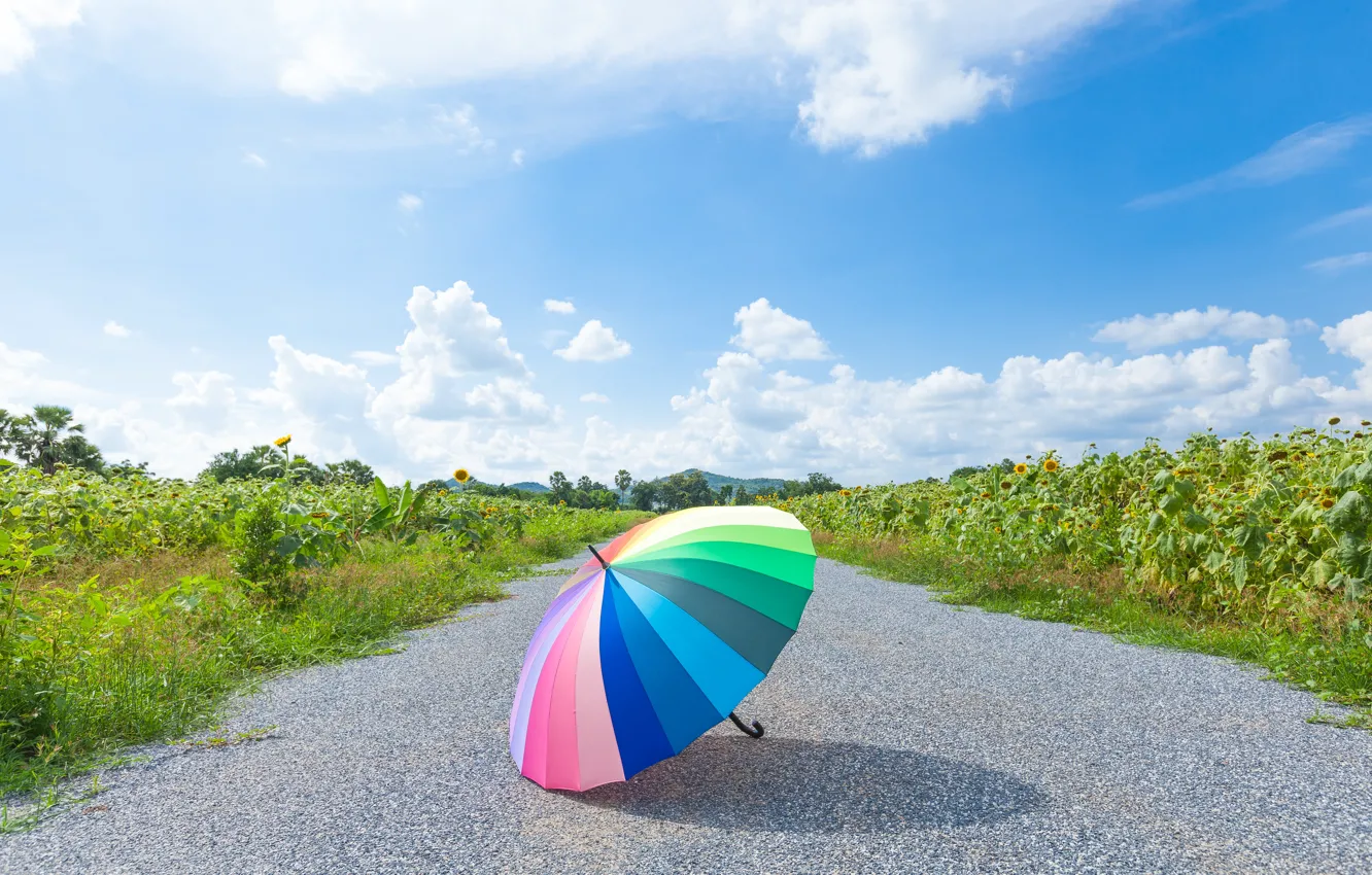 Фото обои дорога, лето, парк, радуга, зонт, colorful, rainbow, summer