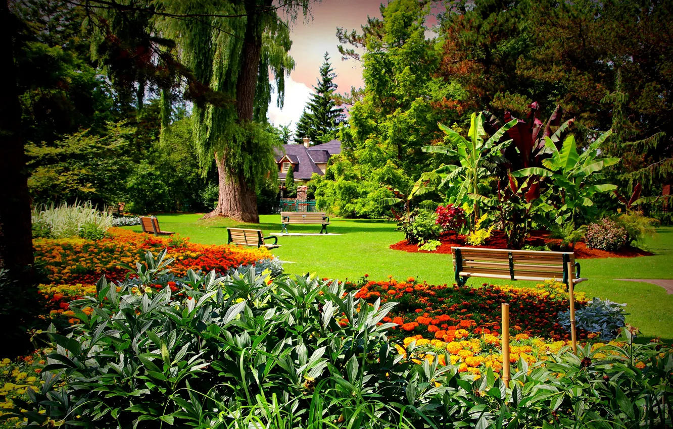 Фото обои деревья, цветы, дом, газон, забор, сад, Канада, скамейки