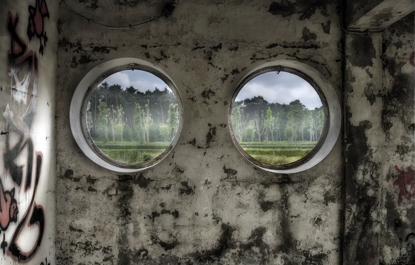 Фото обои комната, вид, окно