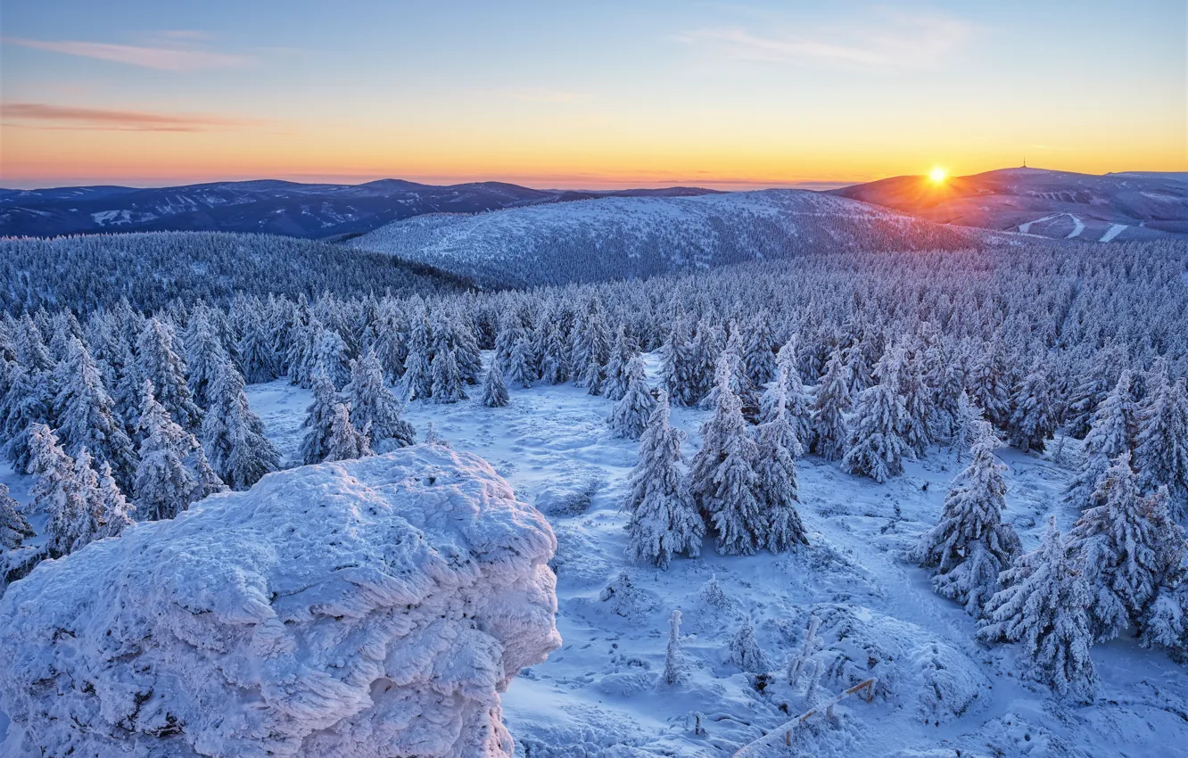 Фото обои зима, лес, снег, горы, восход, рассвет, холмы, утро