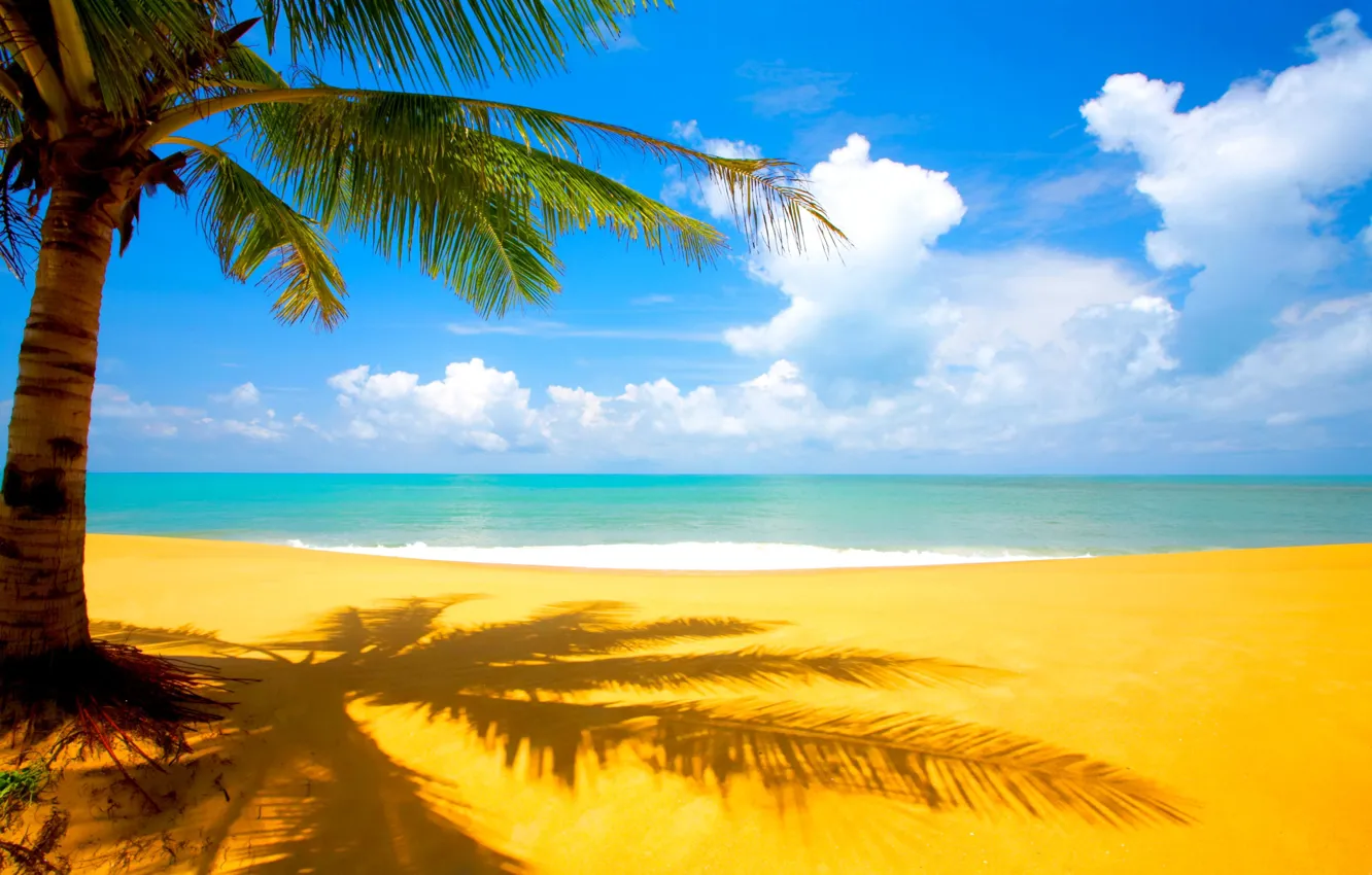 Фото обои песок, море, пляж, облака, тропики, пальма