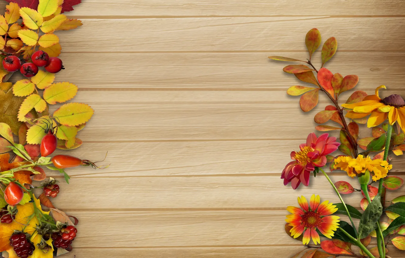 Фото обои осень, листья, цветы, ягоды, фон, vintage, background, autumn