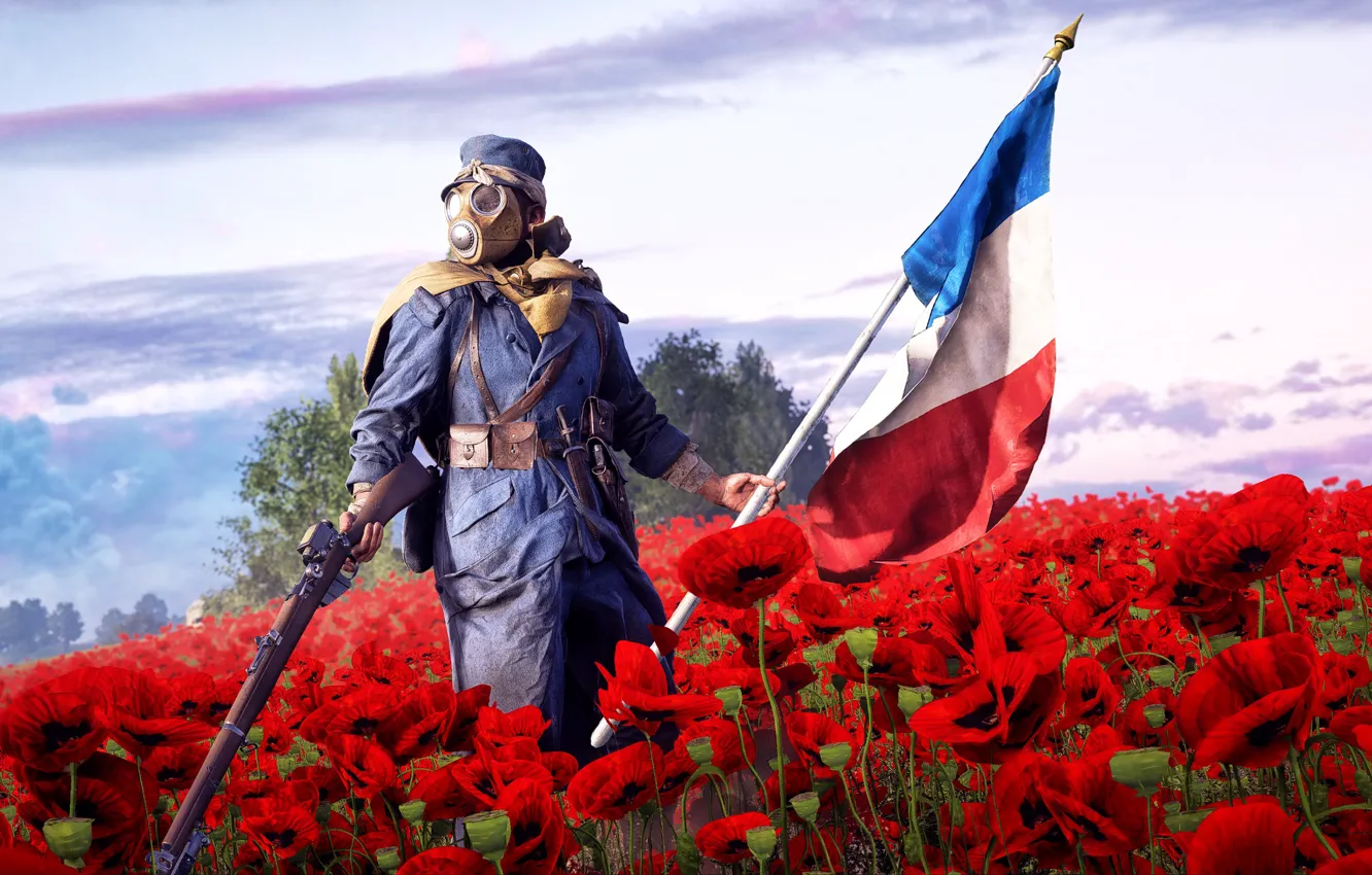 Фото обои поле, игра, мак, солдат, винтовка, пехотинец, знамя, Electronic Arts