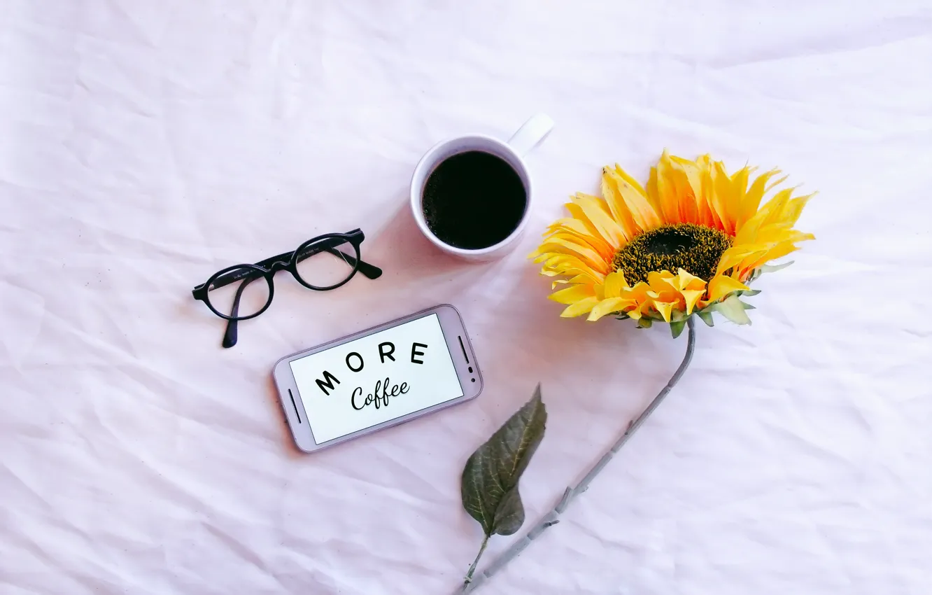 Фото обои coffee, sunflower, cell phone