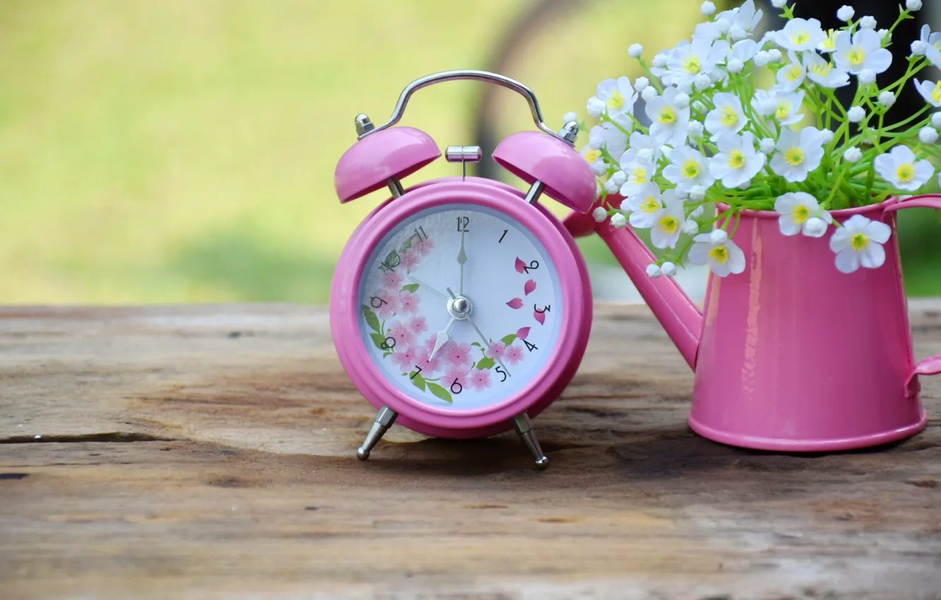 Фото обои цветы, часы, лейка, white, белые, wood, flowers, spring