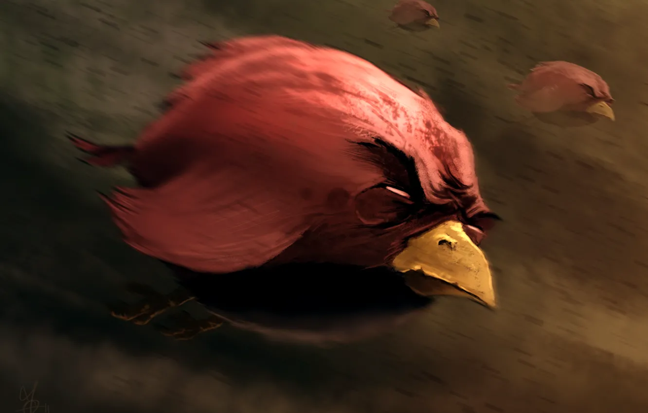Фото обои птицы, арт, Angry Bird