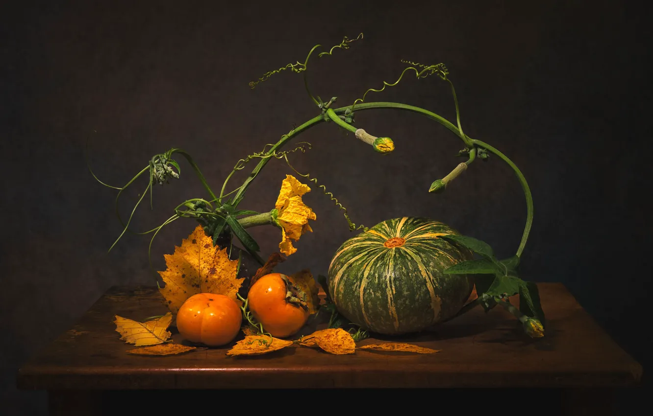Фото обои листья, стол, стебель, урожай, тыква, натюрморт, хурма, осенние листья