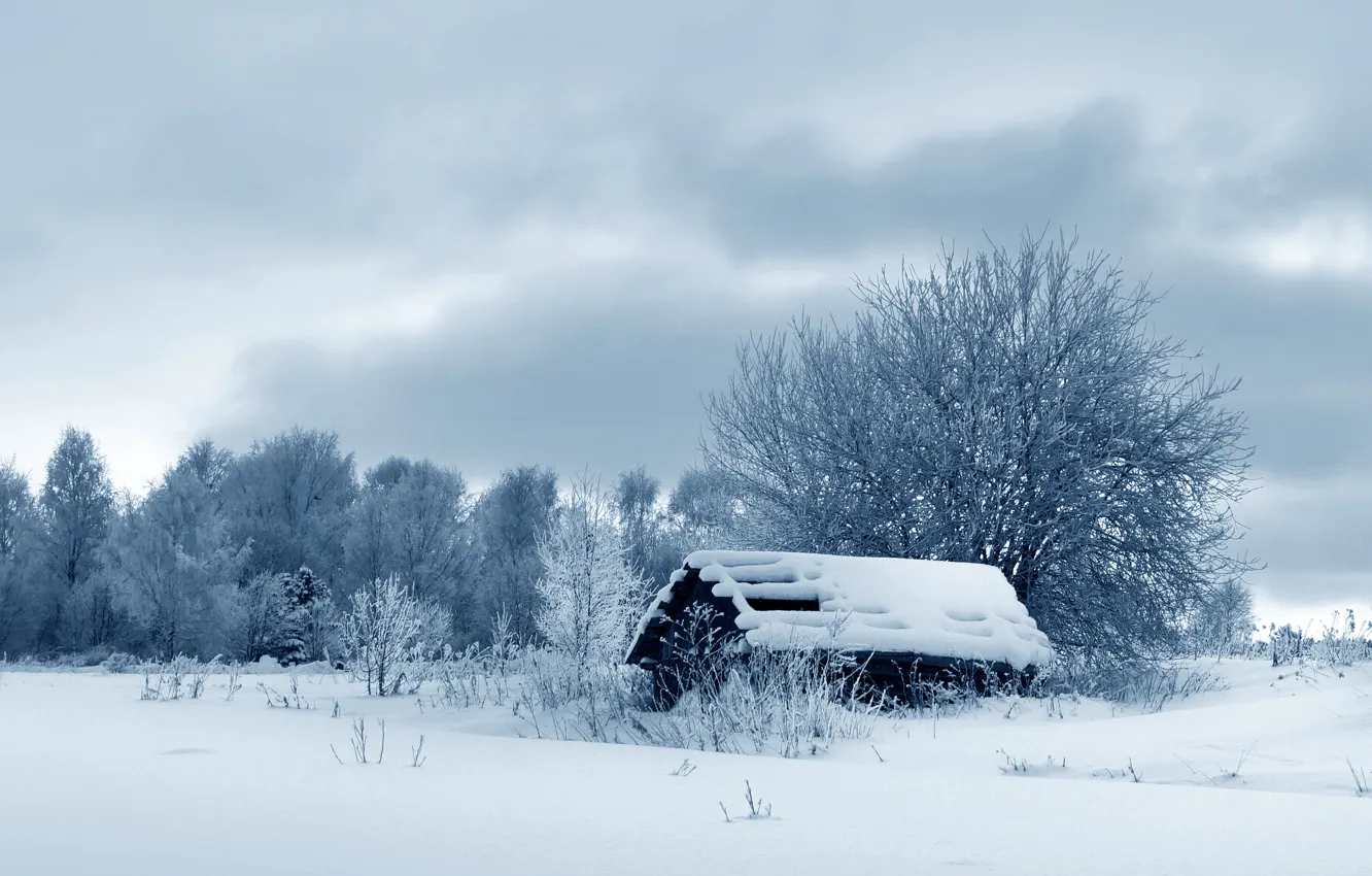 Фото обои зима, снег, деревья, природа, избушка, nature, winter, snow