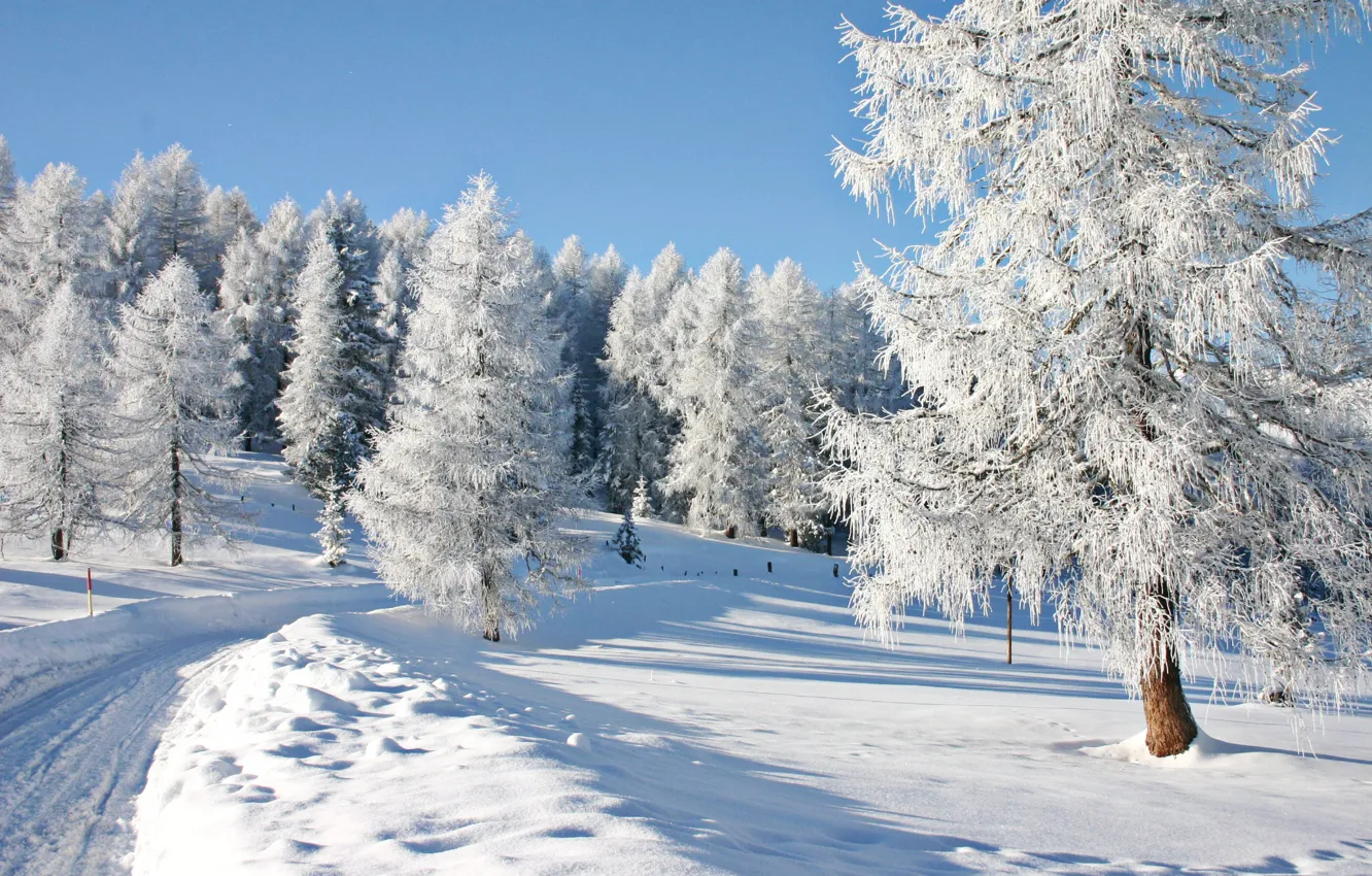 Фото обои зима, снег, деревья, пейзаж, природа