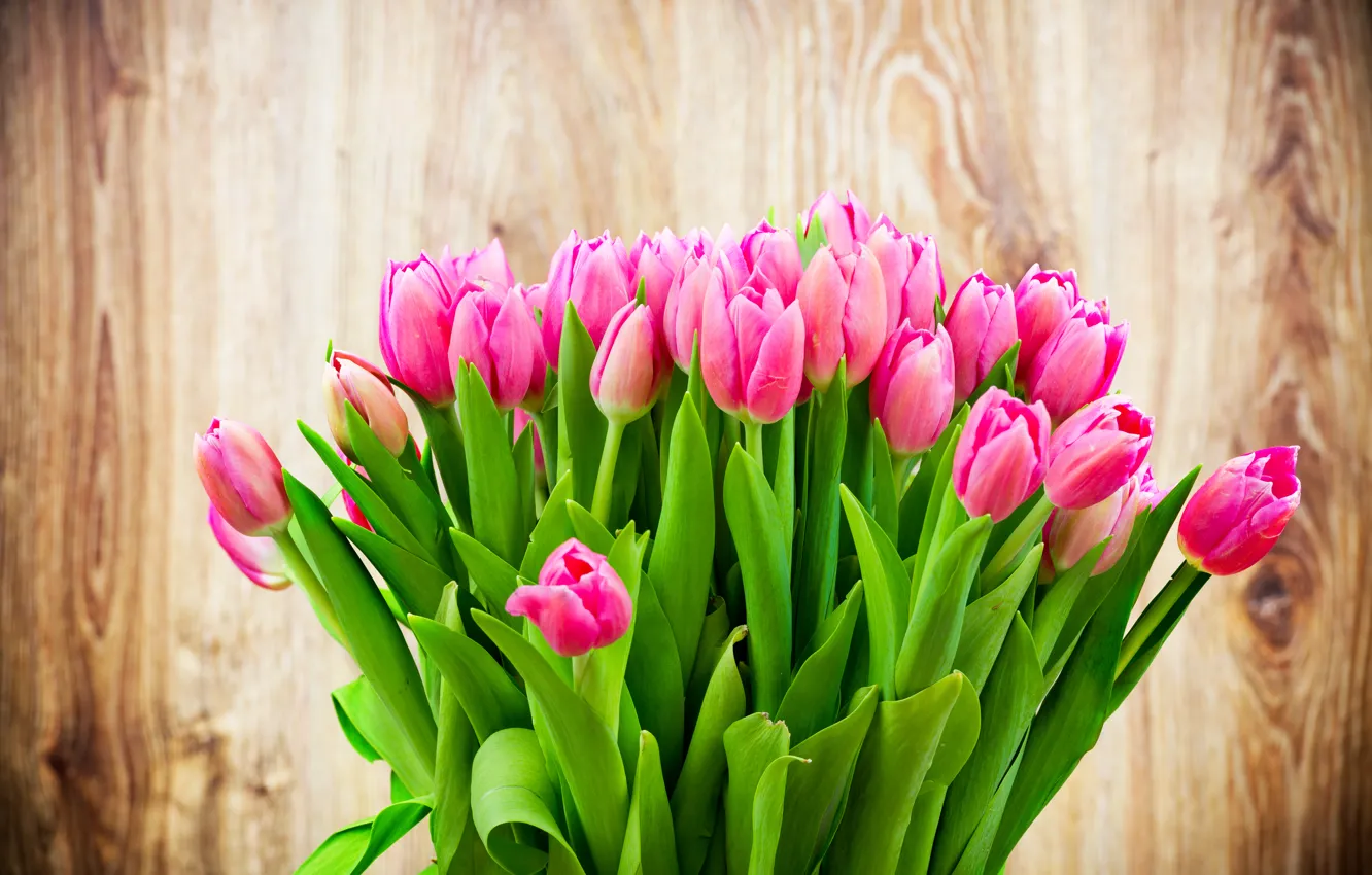 Фото обои цветы, фон, красота, букет, розовые тюльпаны