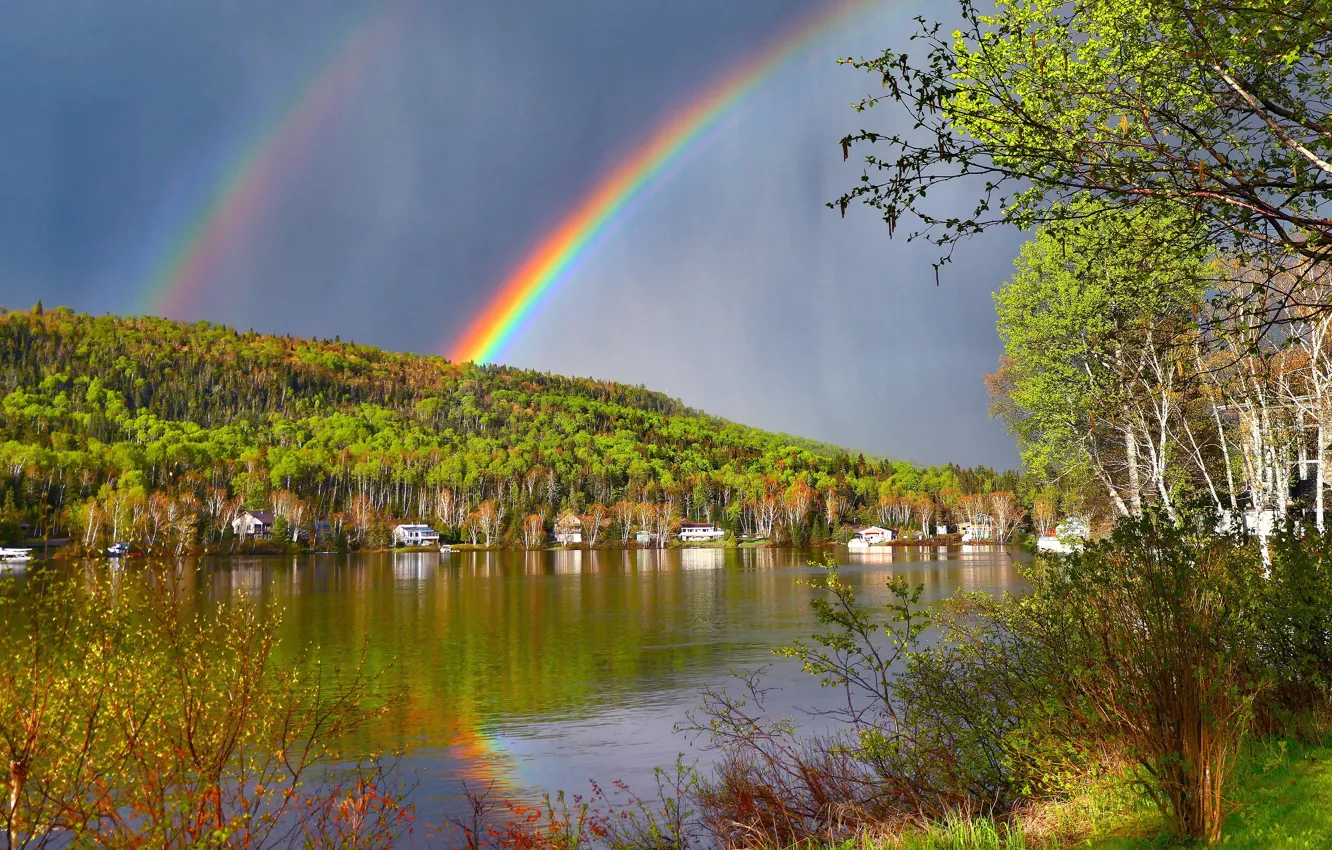 Фото обои осень, лес, небо, свет, ветки, озеро, пруд, отражение