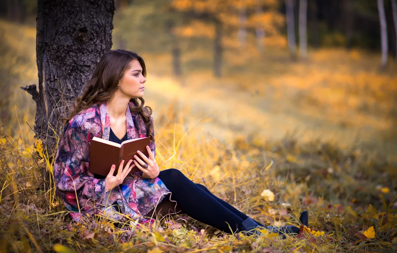 Фото обои осень, девушка, задумчивость, дерево, книга