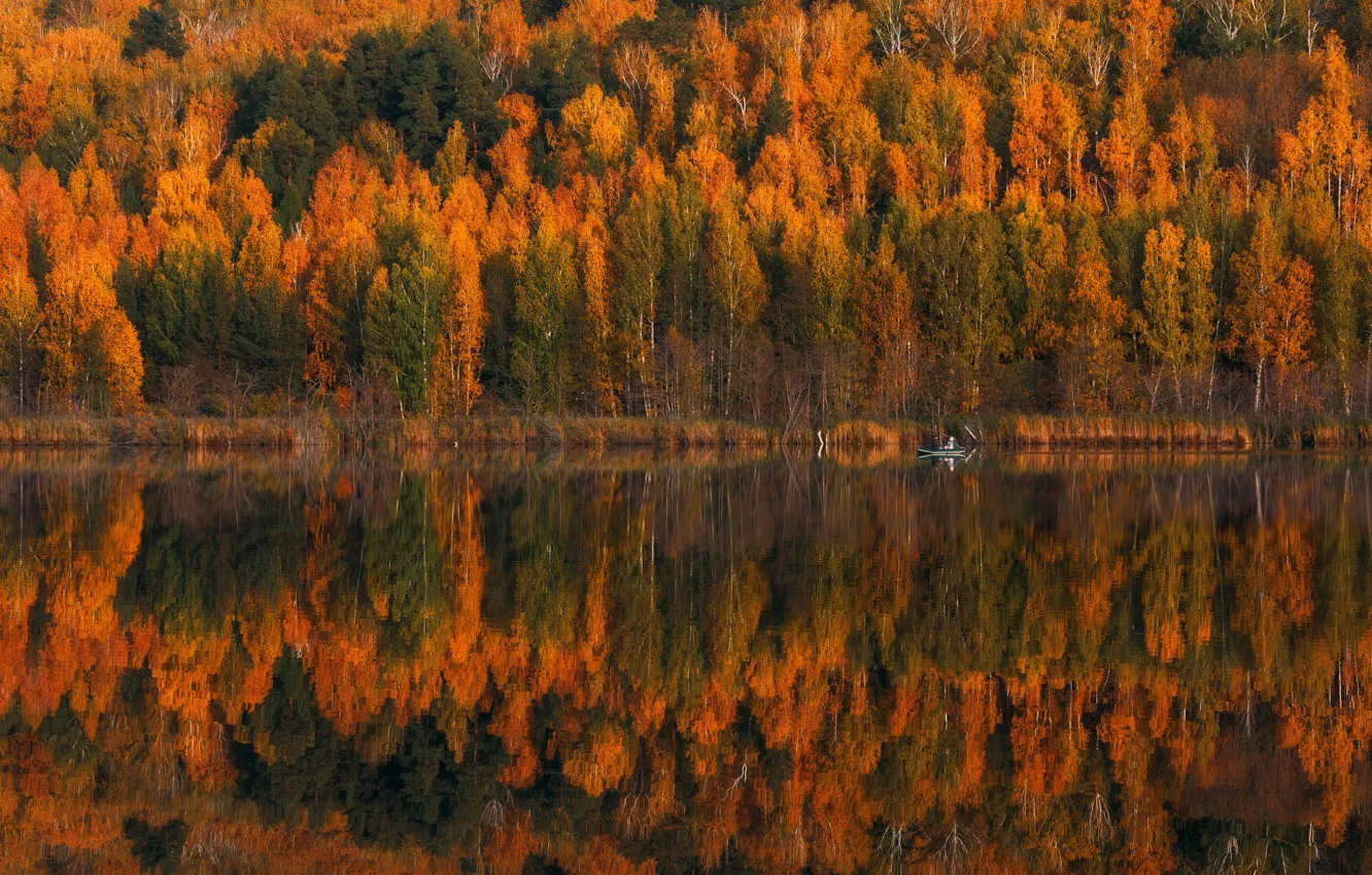 Фото обои осень, лес, деревья, природа, отражение, люди, лодка