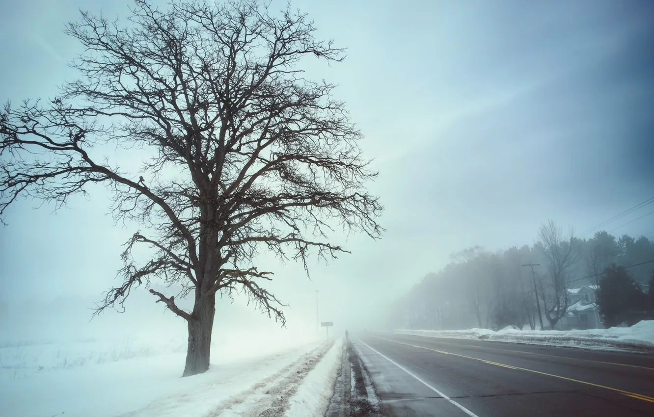 Фото обои дорога, природа, туман